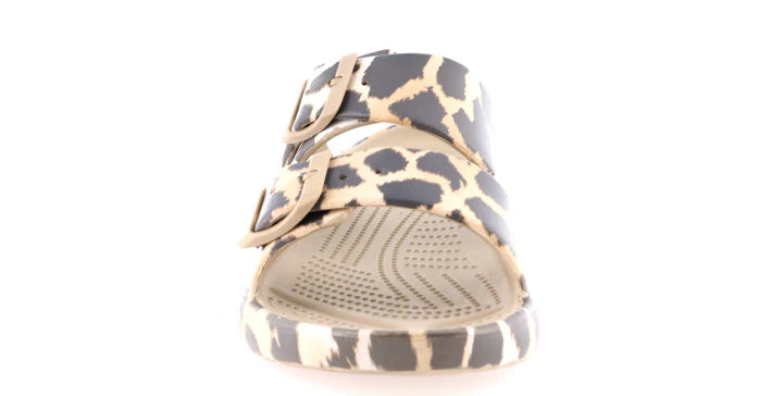 Dawgs - shoe