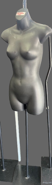 Body form
