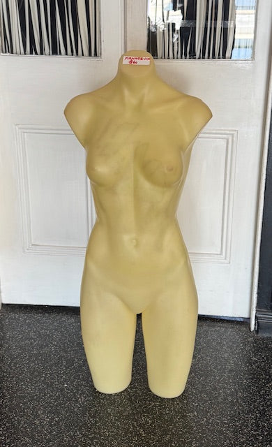 Torso Model